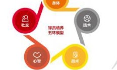 足协青训大纲：国家队踢攻势足球 各梯队踢顶级赛事