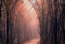 开云app-全运会 | 江苏男棒取得全运会两连冠