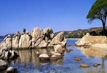 开云APP下载-全运会 | 全天综合：荣光不灭，初心终偿